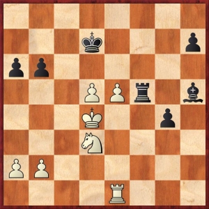 buchnicek-firt2.jpg