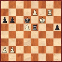 buchnicek-firt3.jpg
