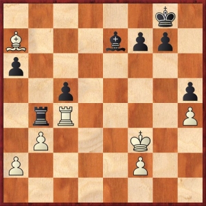 dawidow-kratochvil3.jpg
