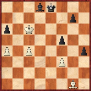 dawidow-kratochvil4.jpg
