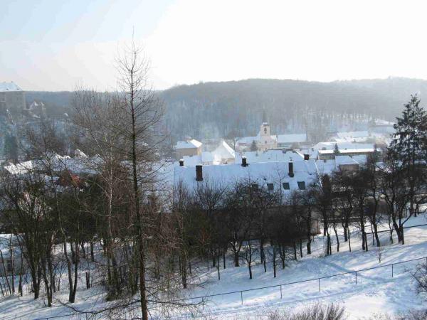 ladovsk_zima.jpg