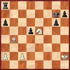 pacl-blahynka7.jpg
