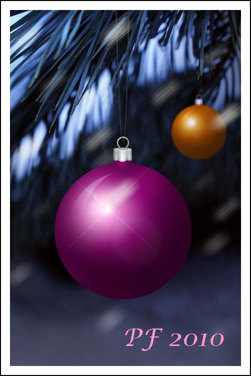 pf2010_duras.jpg