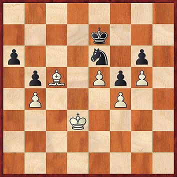 Hronek Borkovec2